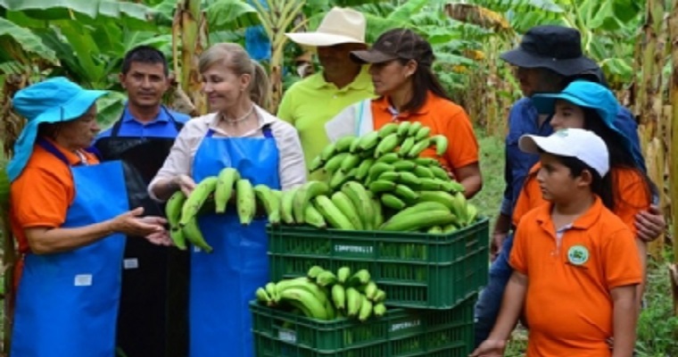 Chilenos conocerán trabajo asociativo que hacen agricultores del Valle