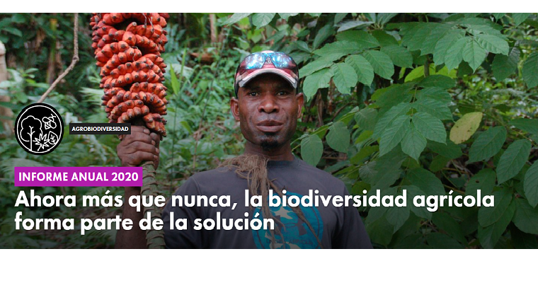 Ahora más que nunca, la biodiversidad agrícola forma parte de la solución