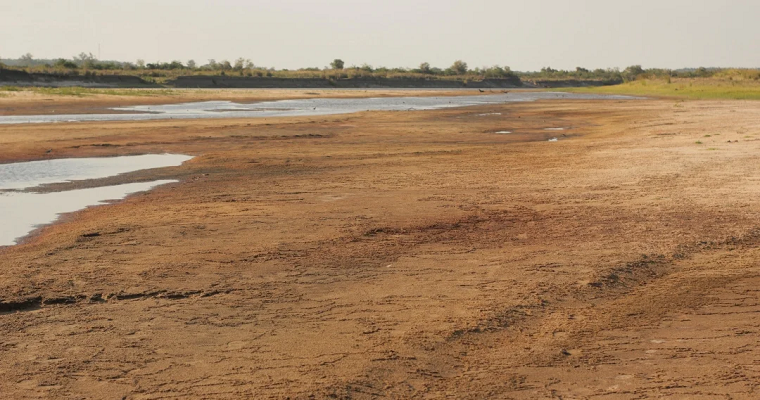 La lechuga y brócoli, entre los cultivos más afectados por el fenómeno de el niño
