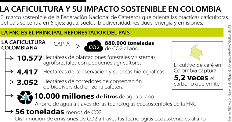 "La tendencia en el mercado internacional son los cafés fermentados y sostenibles"