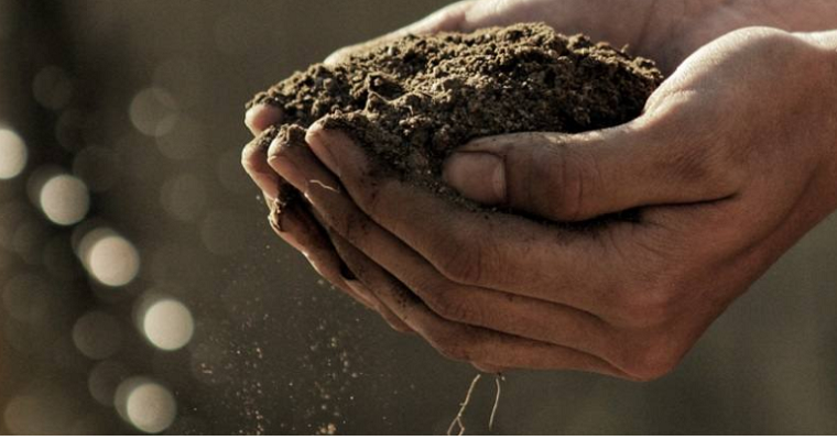 ¿Cómo afectan las prácticas agrícolas a la huella de carbono de un cultivo?