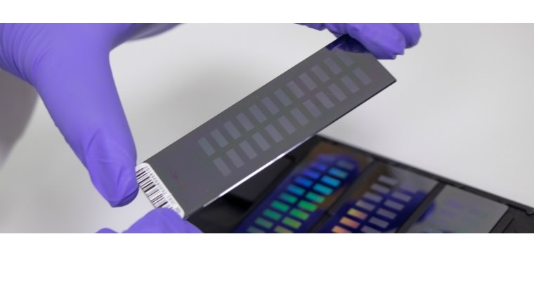 AGROSAVIA busca 49 profesionales para aumentar la capacidad de la investigación agropecuaria colombiana