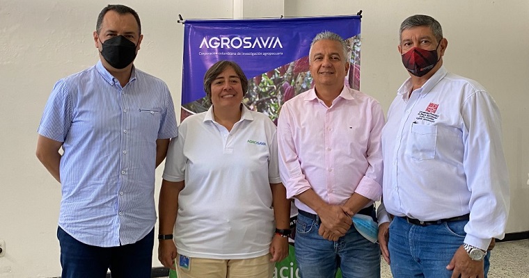AGROSAVIA presenta proyecto en cebolla ocañera para Norte de Santander