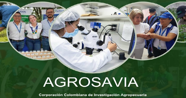 AGROSAVIA en el Ranking SCIMAGO de instituciones de investigación
