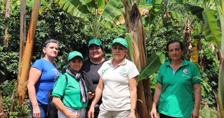 Con cables aéreos productores del Huila buscan transformar la cadena de suministro del plátano y reducir el desperdicio de alimentos