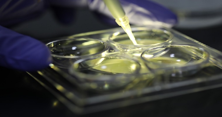 AGROSAVIA sabe hacer las cosas, así se le reconoce a la Red de laboratorios para el sector agropecuario en nodos especializados