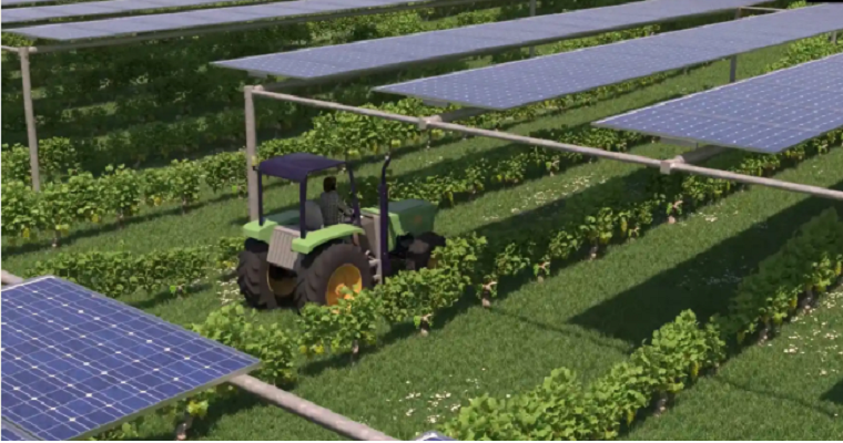 Agrovoltaica: la solución contra la escasez de suelo para la industria fotovoltaica que se alía con la España vaciada