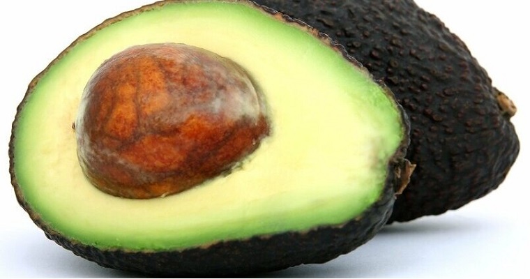 A disposición de los agricultores un completo manual sobre el cultivo del aguacate