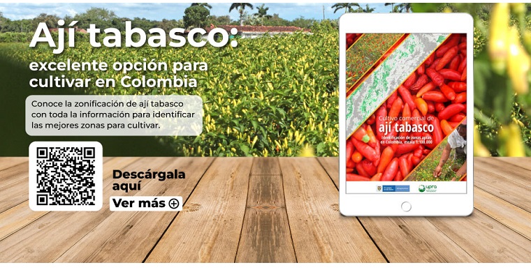 Webinar Hablemos de Tierras: "El futuro de la exportación agropecuaria: ají, piña y pimentón"