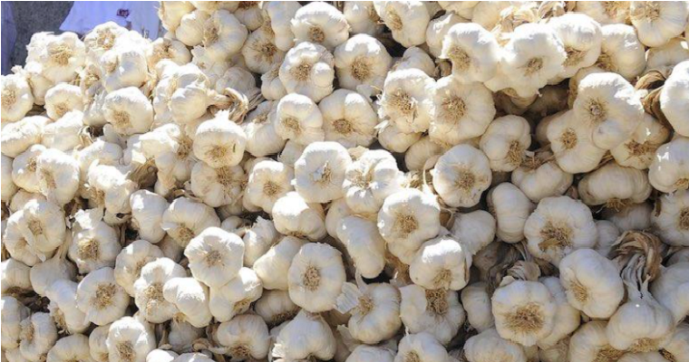 El superalimento que actúa como antibiótico natural y protege de las infecciones