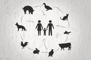 Cinco enfermedades que requieren atención en animales y en humanos