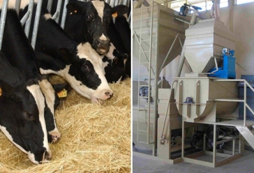 Usted puede elaborar su propia fórmula con base en materias primas