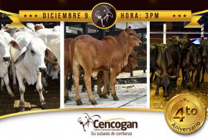 Cencogan celebra 4 años con gran Subasta de Aniversario