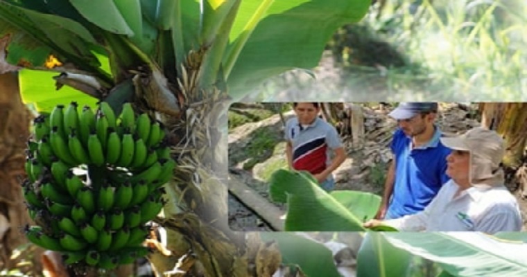 Iniciativa agrícola de un colombiano fue ganadora en convocatoria internacional