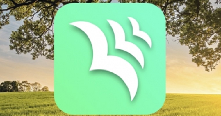 ‘Campo Abierto’, aplicación argentina con la que puede conseguir empleado