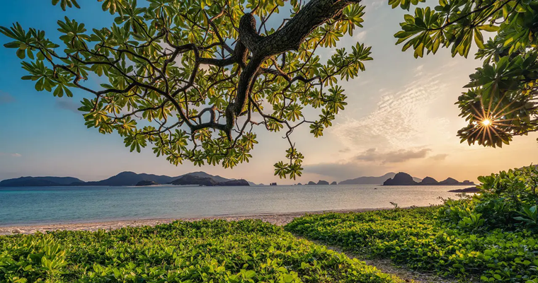 El programa riqueza natural de USAID ha beneficiado a 3,6 millones de hectáreas