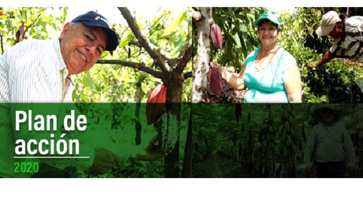 Plan de Acción Institucional para la vigencia 2020