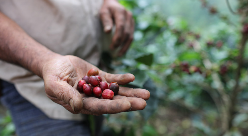 Unidad de Restitución de Tierras interviene el 100% de Cundinamarca - 18 de Abril de 2017