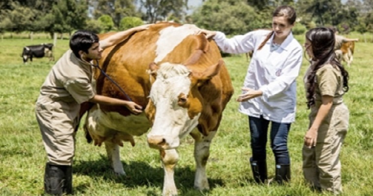 10 puntos que se deben conocer antes de estudiar zootecnia