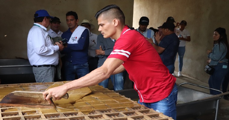 Atención paneleros, disponible una hornilla más productiva, eficiente térmicamente y sostenible