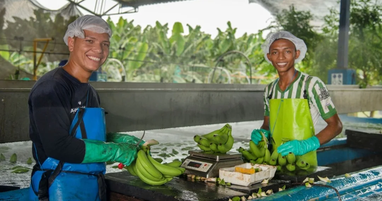 El sector bananero colombiano busca destacar en Europa con la feria Fruit Attraction