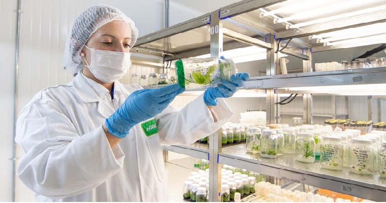 AGROSAVIA le apuesta a capacitaciones virtuales por contingencia nacional debido al covid-19