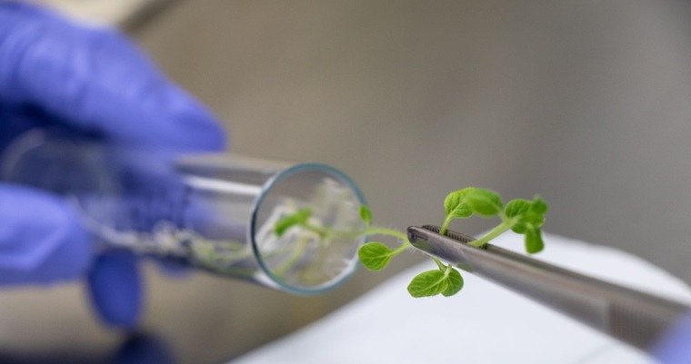 AGROSAVIA impulsa la innovación en la agenda académica de la COP16