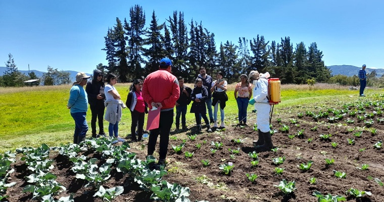 Evaluación de microorganismos bioestimulantes con agricultores de Nariño