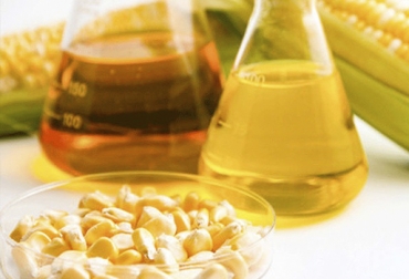 Conozca algunos de los alimentos más económicos para su ganado