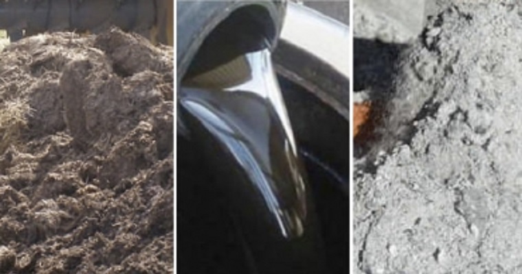 ¿Quiere preparar un fertilizante orgánico con estiércol bovino? Le enseñamos a prepararlo