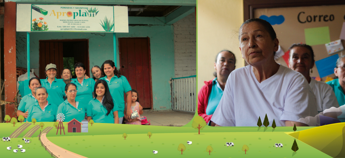 Analizan avances del proyecto de generación empresarial para campesinos de los municipios del posconflicto del Minagricultura - 20 de septiembre de 2017