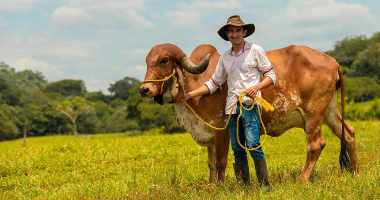 En abril bajaron los precios de las carnes de res, cerdo, pollo y pescado