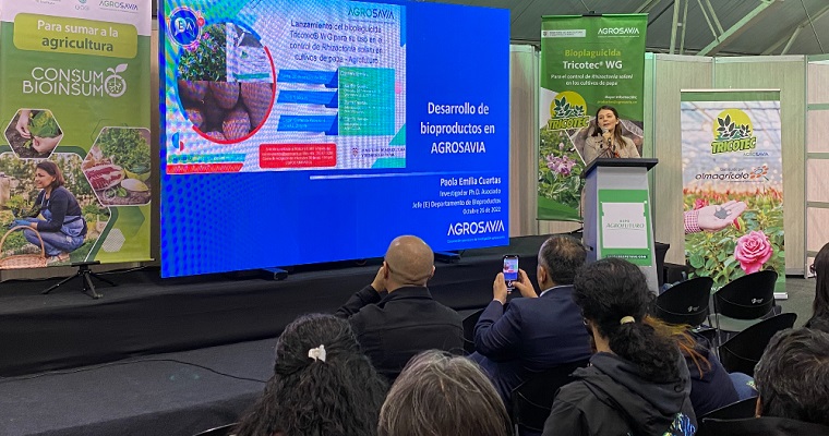 Nuevas opciones para el control biológico en el cultivo de papa