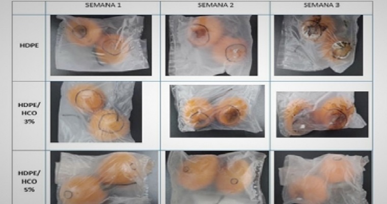 Desarrollan bolsas plásticas antifúngicas para conservar frutas en mejores condiciones