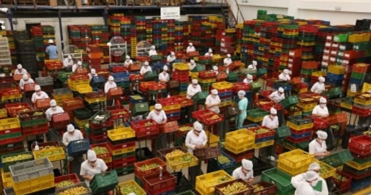 Boyacá lanza programa ‘Boyacá nos Alimenta’