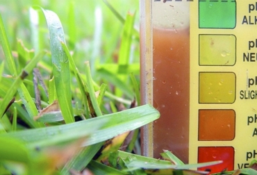 Conozca en qué consiste la capacidad buffer del suelo