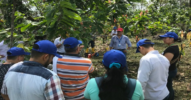 AGROSAVIA desarrolla Jornada de Actualización Tecnológica en cacao para el departamento del Caquetá