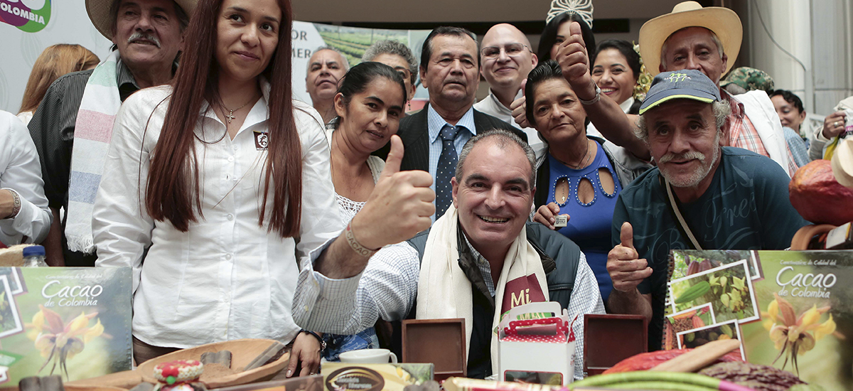 Resultados históricos de cacao, arroz y porcicultura tienen el sello de Colombia Siembra - 22 febrero de 2017