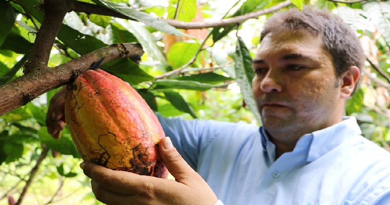AGROSAVIA contribuye al desarrollo del sector cacaotero en el Pacífico colombiano