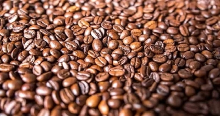 Estudian el cultivo del café con sensores y teledetección para adaptarlo al cambio climático