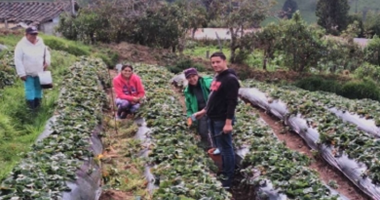 Caldas es modelo y líder en el aseguramiento del agro
