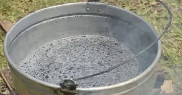 Prepare el caldo de ceniza y úselo como insecticida orgánico