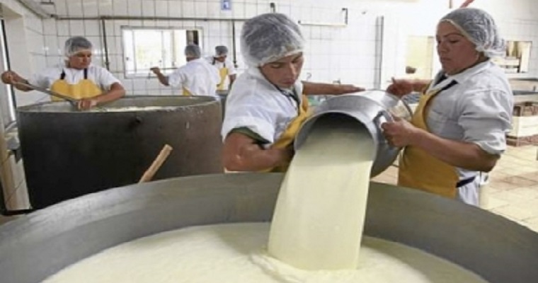 Así trabajan ganaderos de Boyacá por mantener la calidad de su leche