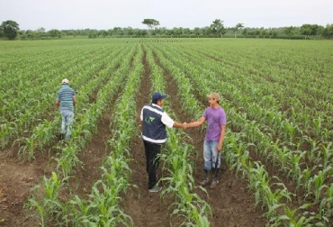 Tome nota y prevenga los cambios bruscos de temperatura