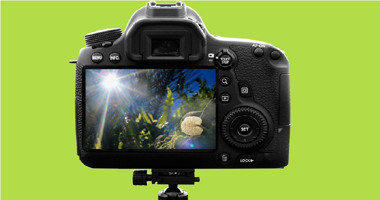 Concurso nacional de fotografía fedepalma