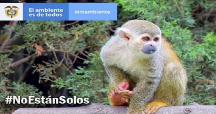 Crece apoyo a campaña de Minambiente de protección animal