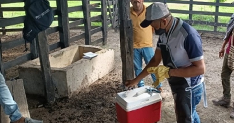 Lo que debe hacer en el momento de la vacunación y lo que no hacer