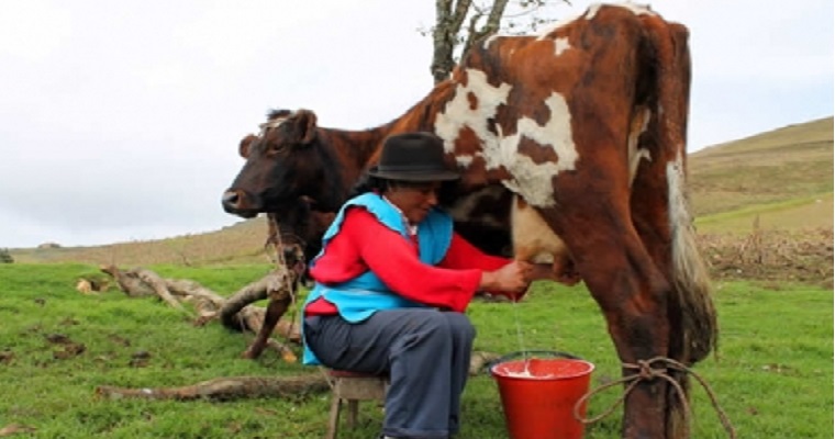 Campesinos héroes en medio de la pandemia