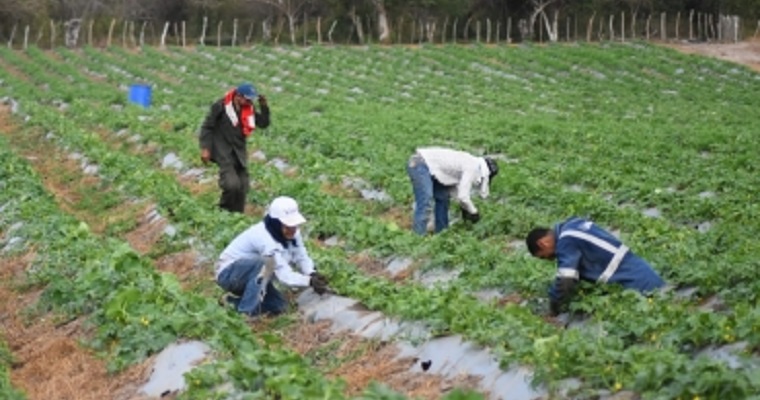 El campo será el protagonista de la reactivación económica del Atlántico