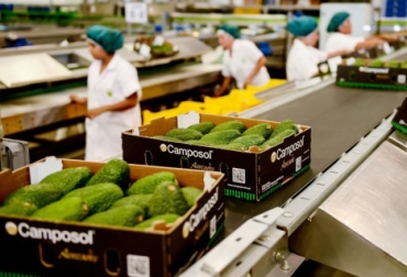 Empleo y medio ambiente, compromisos de Composol con Quindío